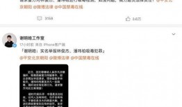 爆料林俊杰潘玮柏视频,精彩瞬间引网友热议